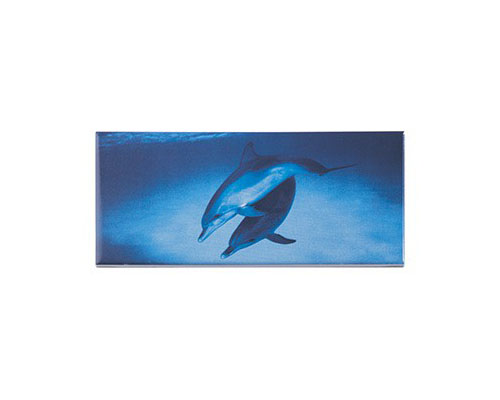 Porselen Karo F Seri Bordür (Dolphino)