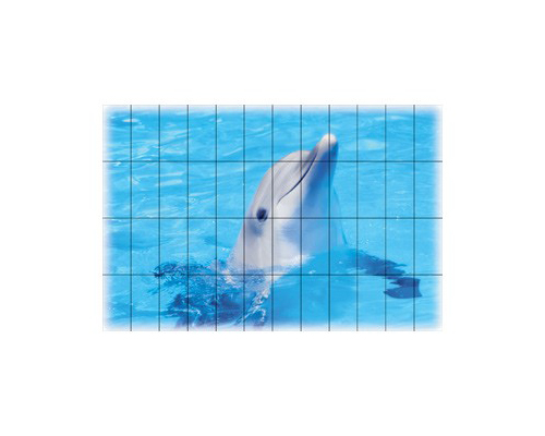 FOTOSERA F08 (150×100 cm)