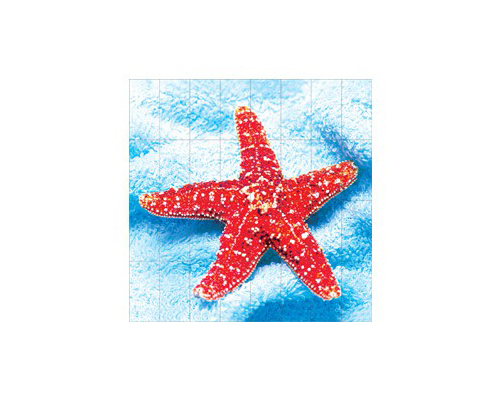 FOTOSERA F08 (100×100 cm)